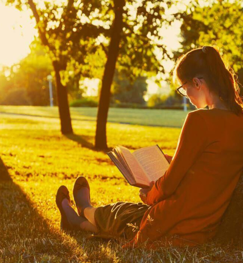 MA (Tussenruimte) rust zoeken in de Reviustuin