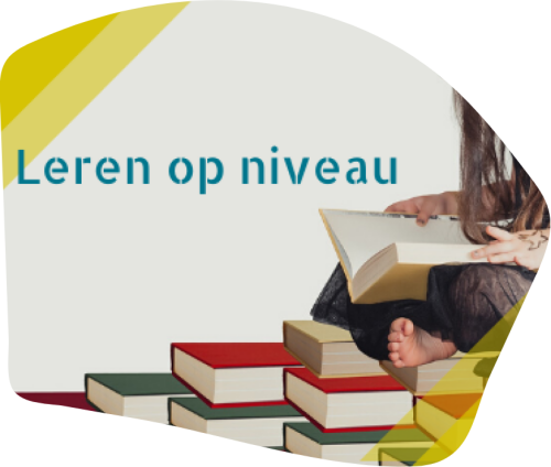 Leren op niveau
